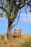 The chair