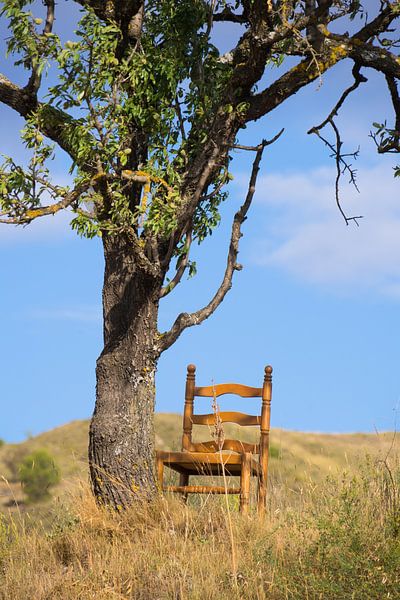 The chair by Christophe Castillon