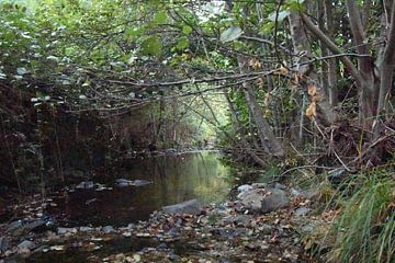 De rivier van Erick's Photo Experience