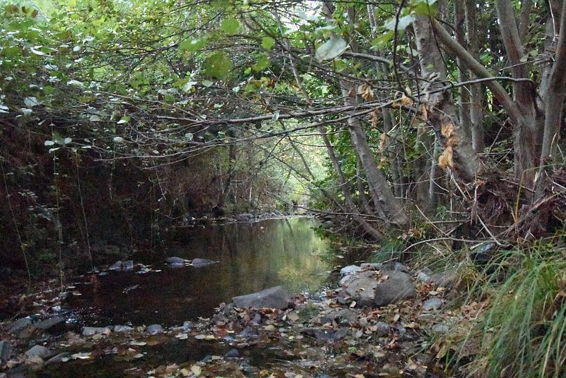 Das Flussufer von Erick's Photo Experience