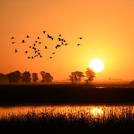 Zomerzonnemeer van Christian Peters