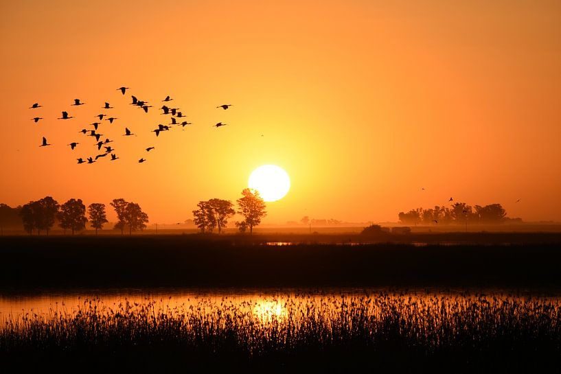 Sunset at Laguna Navarro by Christian Peters