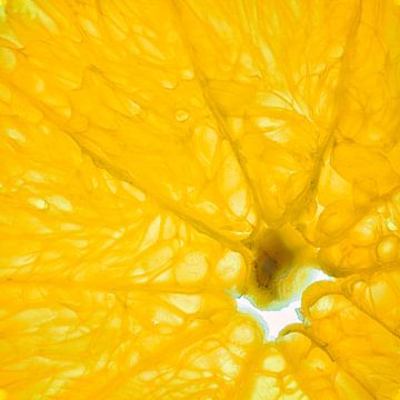Close-up van een schijfje sinaasappel geïsoleerd op een witte achtergrond. van Carola Schellekens