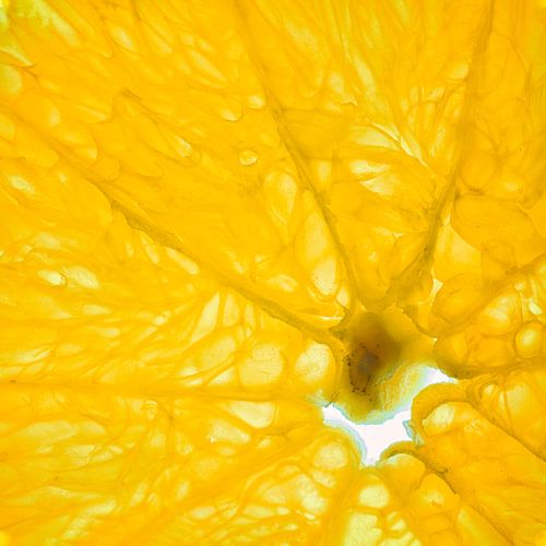 Close-up van een schijfje sinaasappel geïsoleerd op een witte achtergrond.