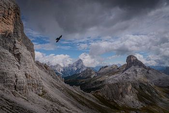 Le corbeau