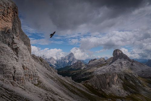 Le corbeau