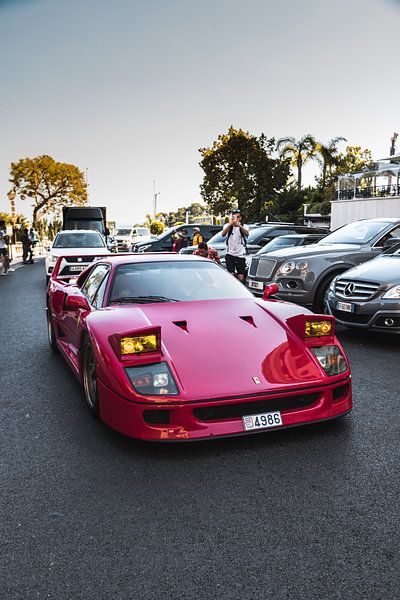 Super Cars by Hello Pompoyo