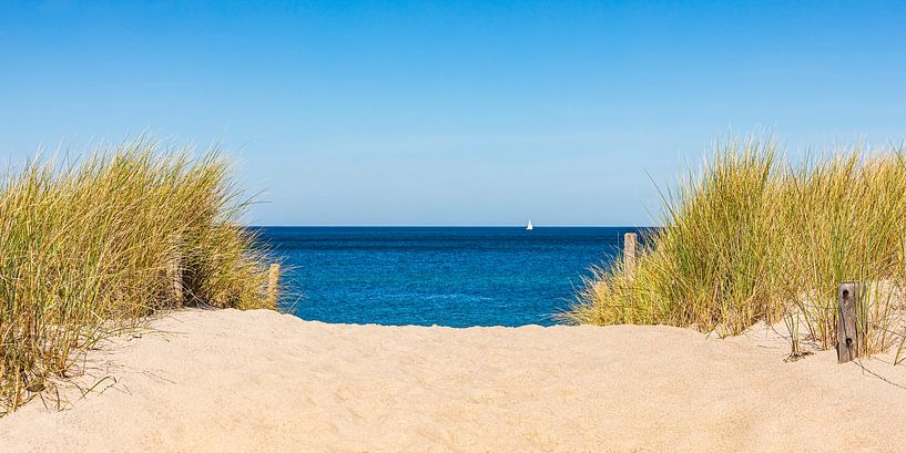 Strand im Ostseebad Dierhagen an der Ostsee von Werner Dieterich