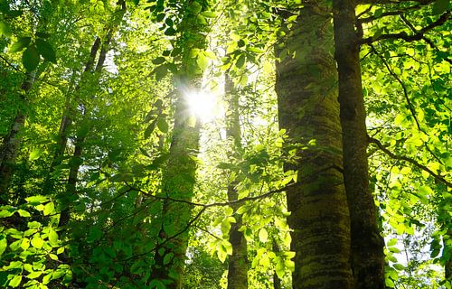 Finding peace at last.