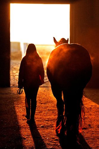 Fries in zonsondergang