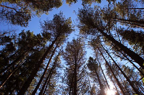 Een zomerse dag met een winters gevoel