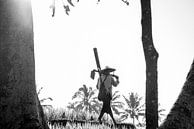 Rice field worker by Ellis Peeters thumbnail