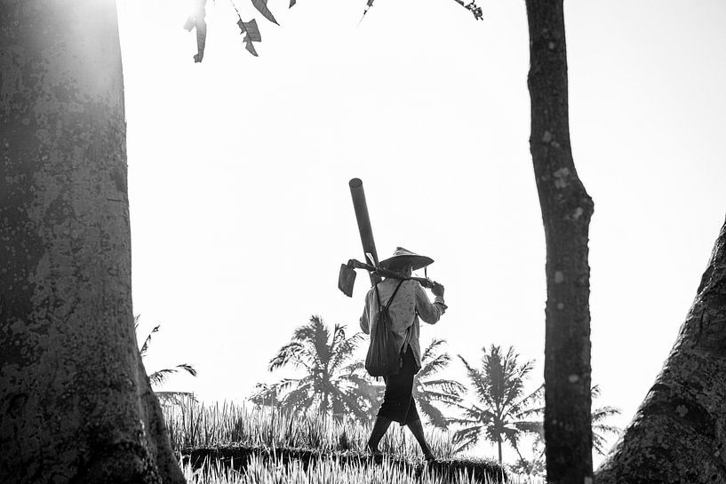Rice field worker by Ellis Peeters