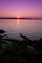 Hollandse Landschappen van Menno Schaefer thumbnail