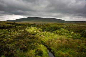 Groen veenlandschap in Ierland van Bo Scheeringa Photography