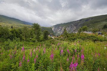 Landscape photography - Eidfjord Norway by Bert v.d. Kraats Fotografie