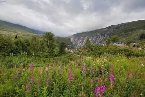 Landschapsfotografie - Eidfjord Noorwegen