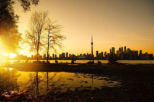 Toronto