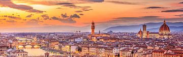 skyline Florence at night I van Teun Ruijters