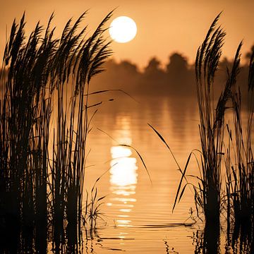 Zonsondergang aan het Water van FoXo Art