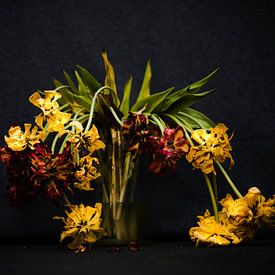 Tulipes en fleurs dans un vase sur willemien kamps