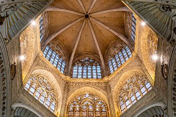 Kathedraal van Valencia van Dieter Walther