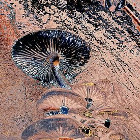 Paddenstoelen landschap van Nina IoKa