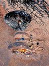 Paddenstoelen landschap van Nina IoKa thumbnail