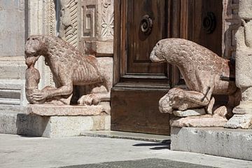 Twee leeuwen voor de deur van de kathedraal San Rufino in Assisi, Italië van Joost Adriaanse