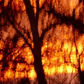 SkyFire by Martina Rosemarie Mangold