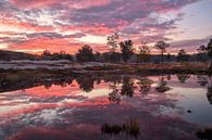 Roode Brook (Roter Bach) von peter reinders Miniaturansicht