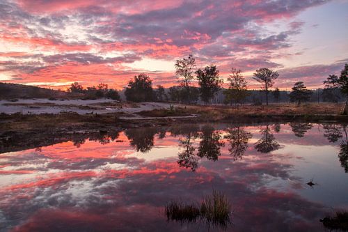 Roode Brook (Red Brook) by peter reinders