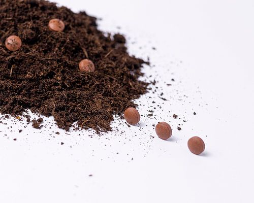 Nature morte représentant des compléments alimentaires à base de sélénium sur une terre fertile et sombre