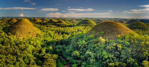Chocolate Hills