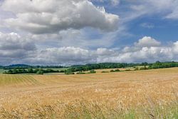 Landschaft in der Holsteinischen Schweiz