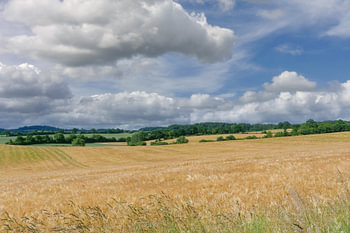 Paysage dans le Holstein en Suisse