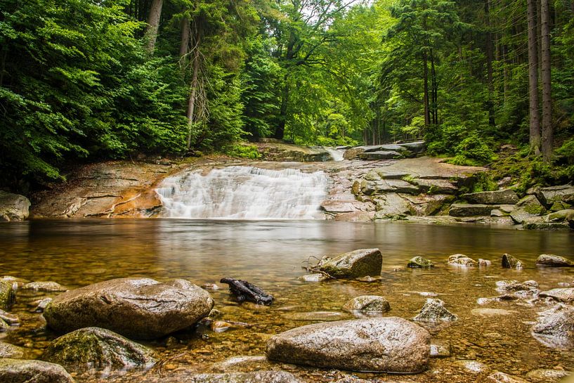 Waldbach im Gleichgewicht von Beeldspraak
