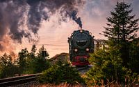 Locomotive in the Harz Mountains