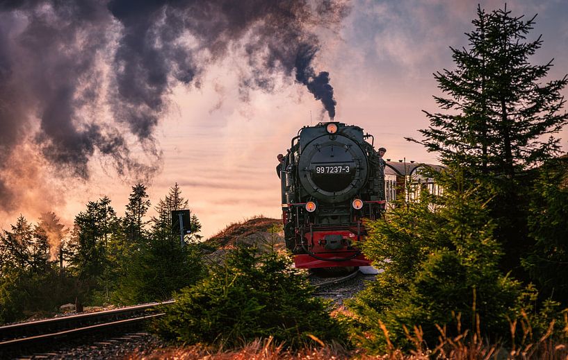 Locomotief in het Harzgebergte van Steffen Henze