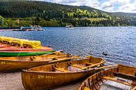 Boats on Lake Titisee by Luis Emilio Villegas Amador thumbnail