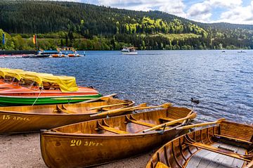 Boats on Lake Titisee by Luis Emilio Villegas Amador