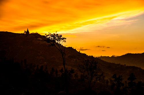 Pagoda sunset