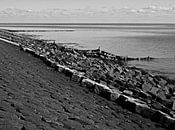 Basaltblokken op waddendijk, Terschelling van Rinke Velds thumbnail