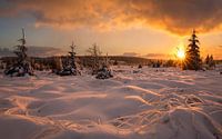Sneeuwlandschap