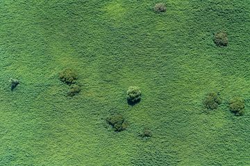 Luchtfoto groene vlakte met enkele boompjes van aerovista luchtfotografie