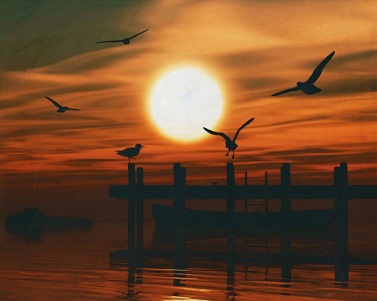 Mouettes au coucher du soleil 4 par Jan Keteleer