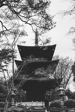 Gotokuji: Het Heiligdom van de Gelukskat in Tokyo van Ken Tempelers
