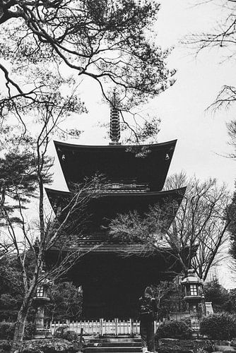 Gotokuji: Het Heiligdom van de Gelukskat in Tokyo