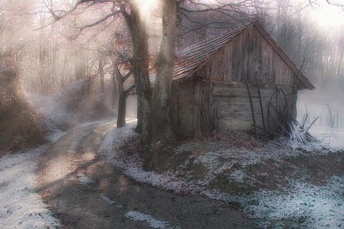 Mysteriöser Nebel