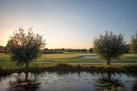 Golfbaan tijdens avondlicht van Jeffrey de Graaf thumbnail